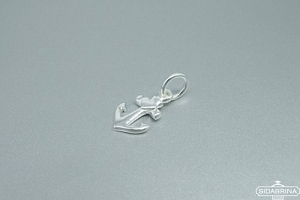 Sidabrinis pakabukas - PAM778