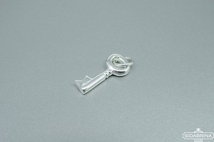 Sidabrinis pakabukas - PAM782