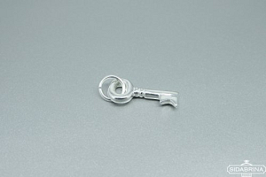 Sidabrinis pakabukas - PAM782