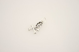 Sidabrinis pakabukas - PAV007