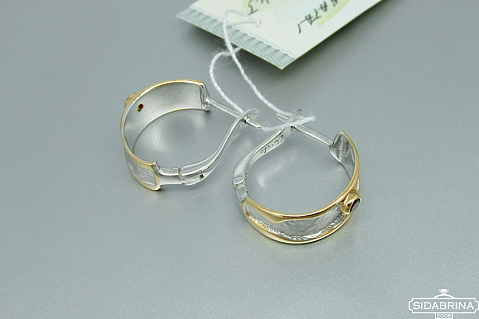 Auskarai su granatais - AUM1145