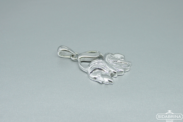 Dvynių ženklas - ZDP047