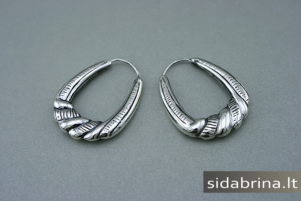 Sidabriniai lankeliai - AUM502