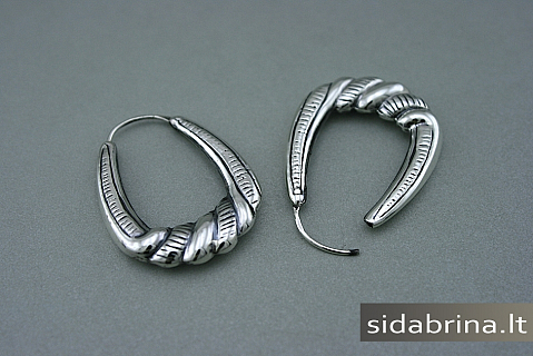 Sidabriniai lankeliai - AUM502