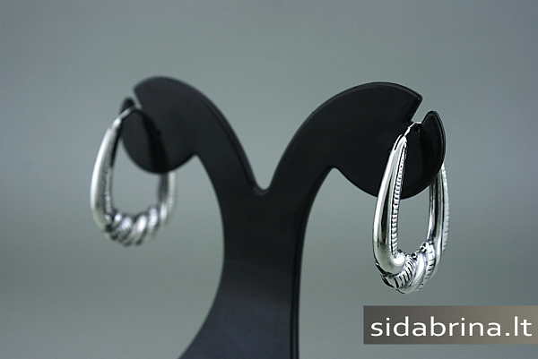 Sidabriniai lankeliai - AUM502