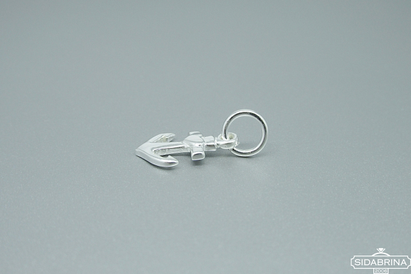 Sidabrinis pakabukas - PAM778