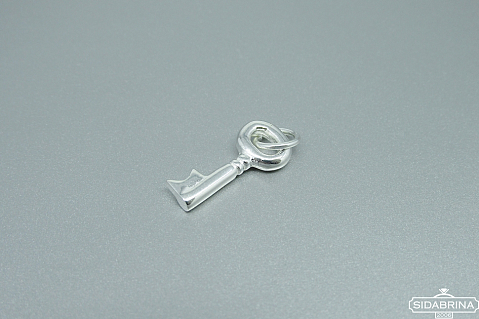 Sidabrinis pakabukas - PAM782