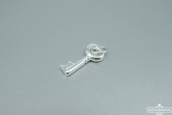 Sidabrinis pakabukas - PAM782