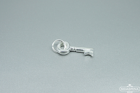 Sidabrinis pakabukas - PAM782