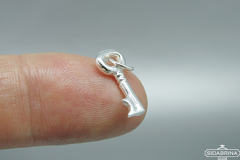 Sidabrinis pakabukas - PAM782